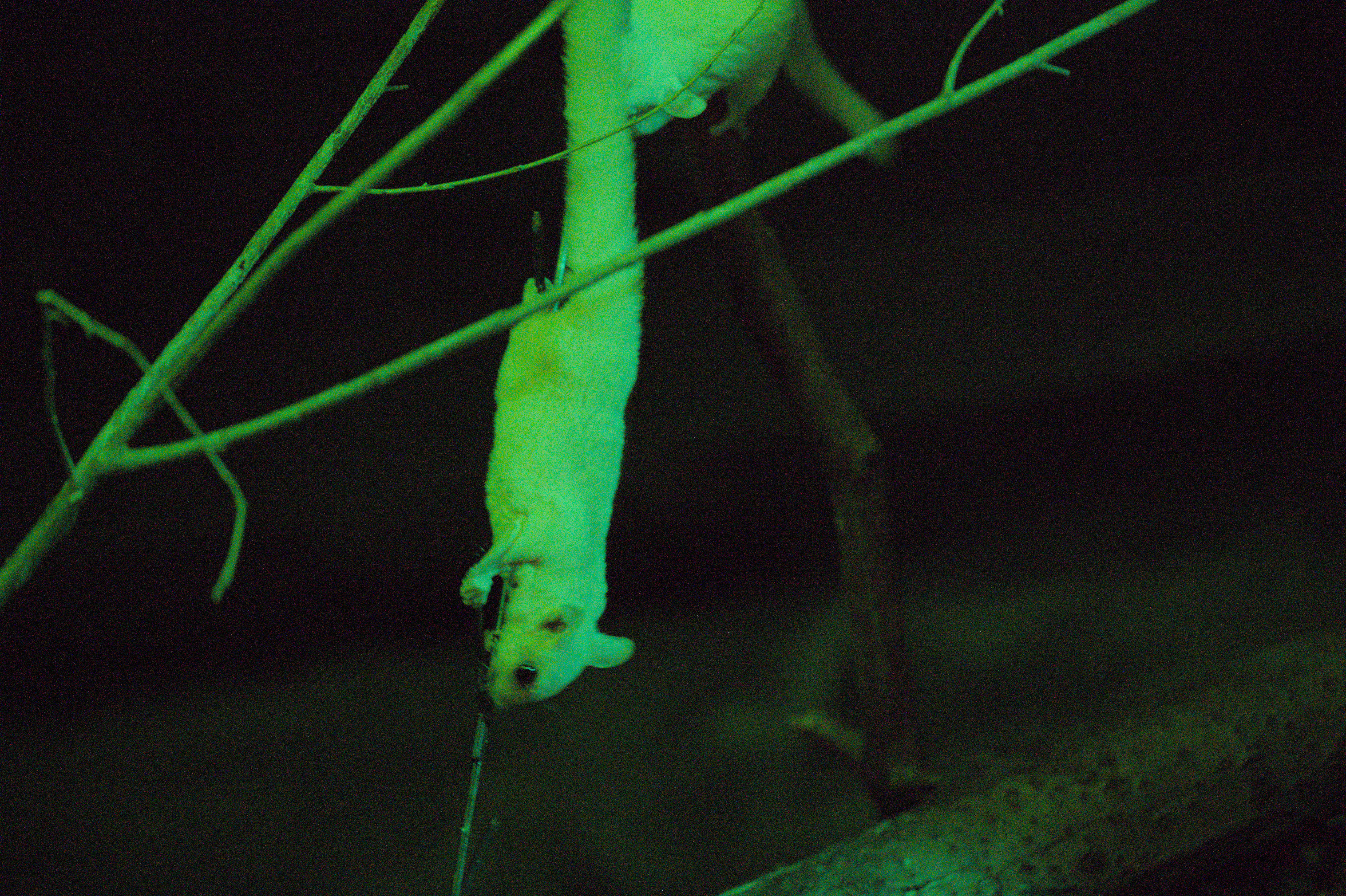 2025/10/12 - zoo/DSC_0259.jpg